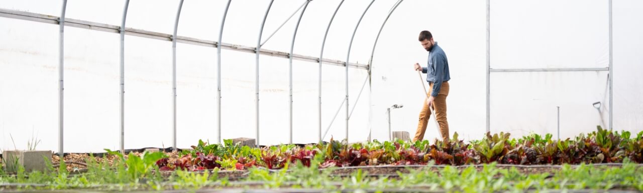 Farm manager Youssef Darwich works the soil in a hoop house